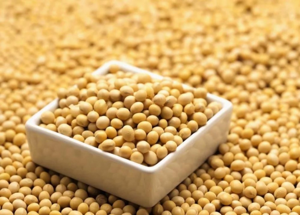 Quid sunt beneficia SOY Isoflavones?