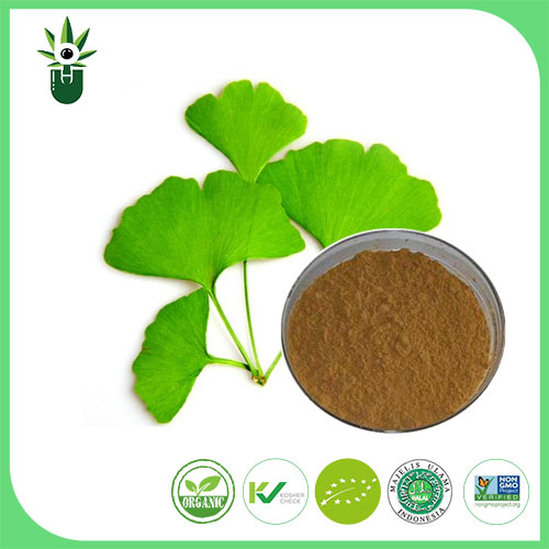 Quod Signa can Ginkgo Biloba folium extract ut solebat sublevare?