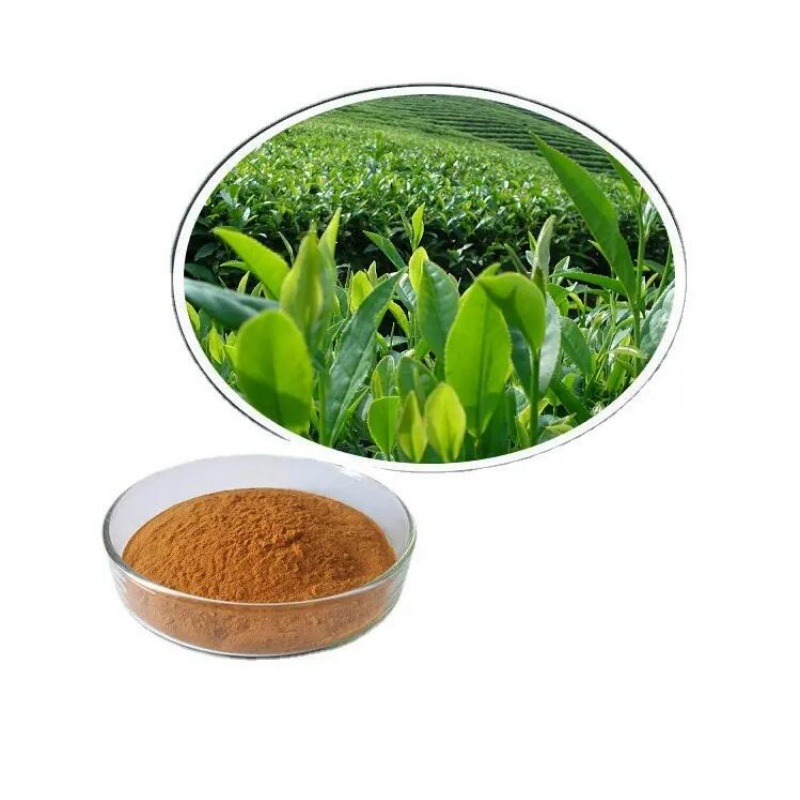 Quid cibus applications viridi tea extract?