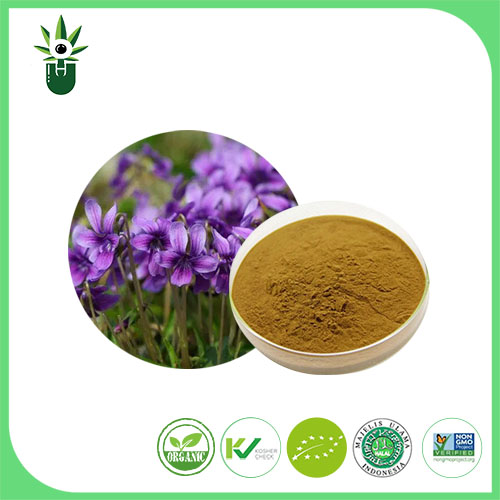 Quid enim plantae essential oleum products adipiscing global operam?