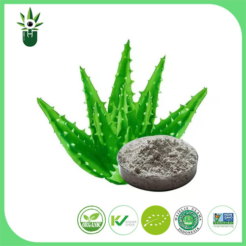 Aloe Vera Extract