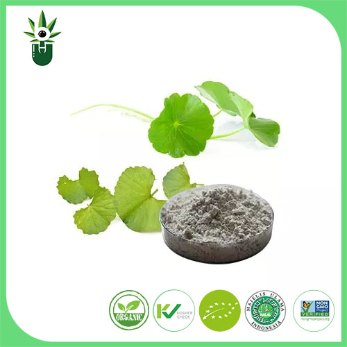 Centella Asiatica Extract