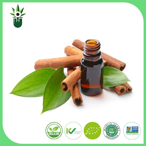 Cinnamomum Extract