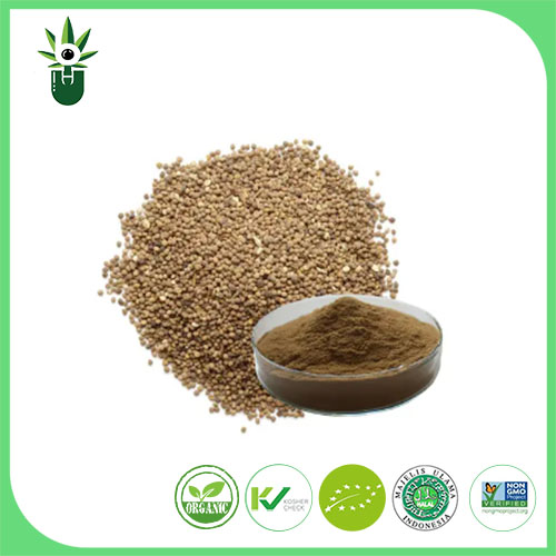 Cuscutae Semen Extract