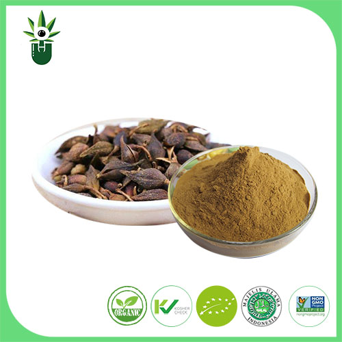 Forsythia Suspensa Extract