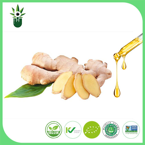 Gingiberi Extract