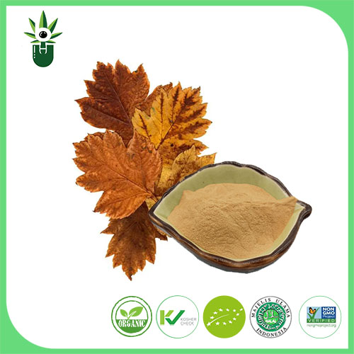 Hawthorn Folium Extract