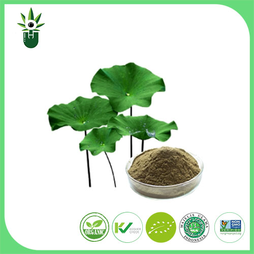 Lotus Folium Extract