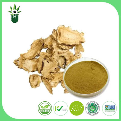 Radix Angelicae Biseratae Extract