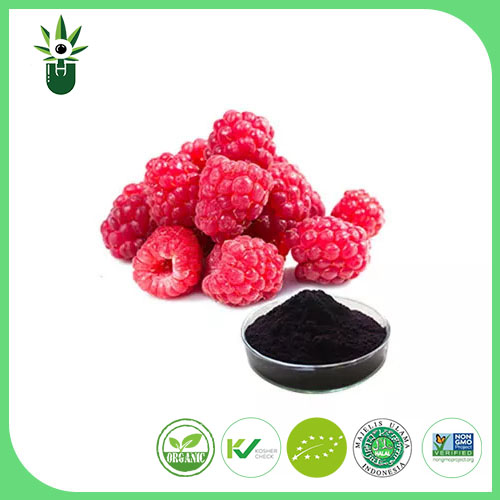 RUBUS IDAEUS Extract