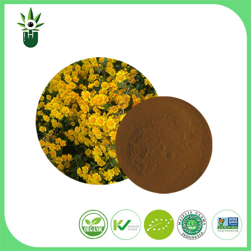 Ferum Chrysanthemum Extract