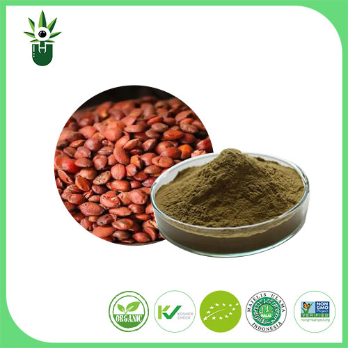 Ziziphus Semen Extract